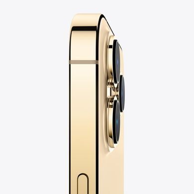 Смартфон Apple iPhone 13 Pro Max 1TB (gold)