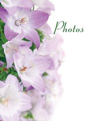 Альбом Ufo 10x15x200 PP-46200 Orchid