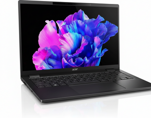 Ноутбук Acer TravelMate P6 TMP614-73 (NX.B5WEU.004) Galaxy Black
