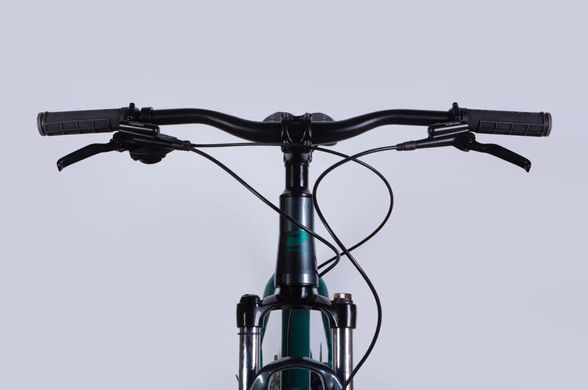Велосипед AL 29" Formula ZEPHYR 1.0 HDD рама-19" темно-сріблястий з зеленим 2026