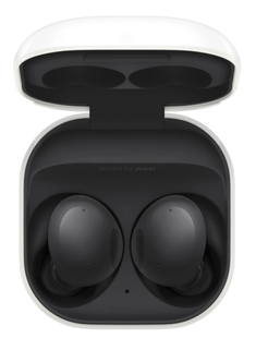 Наушники Samsung Galaxy Buds 2 SM-R177NZKASEK Black