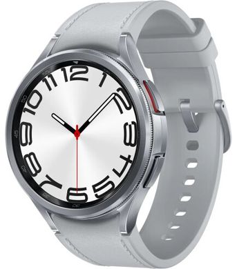 Смарт часы Samsung Galaxy Watch6 Classic 47mm Silver (SM-R960NZSASEK)