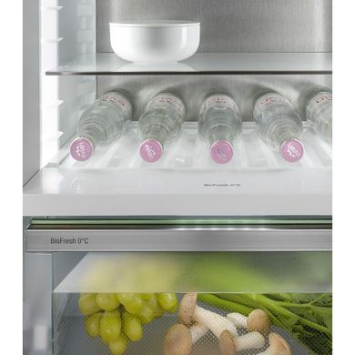 Холодильник Liebherr ICBNd 5163