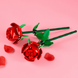 Конструктор LEGO Botanicals Розы (40460) фото 3