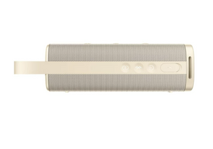 Портативная акустика Xiaomi Sound Outdoor (QBH4370GL) Gold