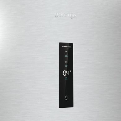 Холодильник Gorenje R 619EAXL 6 (HS4168SEB)