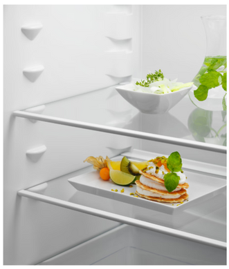 Холодильник ELECTROLUX RNT6NE18S