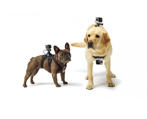 Крепление для собак GoPro Fetch Dog ADOGM-001"