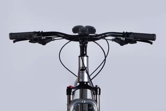 Велосипед AL 29" Formula ZEPHYR 3.0 DD CS рама-19" срiблястий 2026
