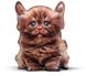 Подушка Британский рыжий котенок Surpriziki фото 1