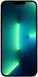Смартфон Apple iPhone 13 Pro Max 256GB (silver) фото 3