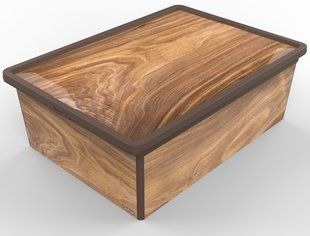 Контейнер Qutu Trend Box Wood, 25л