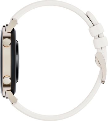 Смарт-часы Huawei WATCH GT 2 42mm (frosty white)