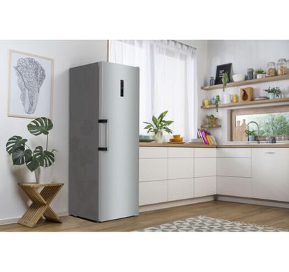 Холодильник Gorenje R619EAXL6