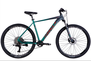 Велосипед AL 29" Formula ZEPHYR PRO HDD рама-21" сірий з зеленим 2025