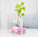Ваза Trend Glass Flora 19 см фото 2