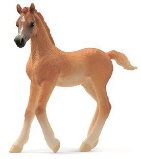 Игрушка фигурка Schleich Арабский жеребенок