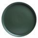 Тарелка десертная Limited Edition ROBUST GREEN 19 см (TRSC-PS2505-G80P) фото 1