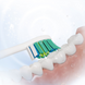 Насадка для зубной щетки Sencor SOX 015 White фото 3