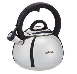 Чайник TEFAL Duetto+ 2.5 л (N4180310)