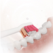 Насадка для зубної щітки Sencor SOX 016 White фото 4
