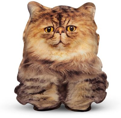 Персидський усміхнений кошеня, реалістична іграшка-подушка