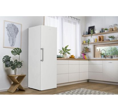 Холодильник Gorenje R619FEW5