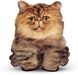 Персидський усміхнений кошеня, реалістична іграшка-подушка фото 1