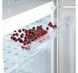 Холодильник Snaige RF36SM-S0002E фото 5