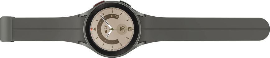 Смарт часы Samsung Galaxy Watch 5 Pro (SM-R920NZTASEK) Titanium