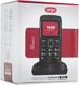 Мобільний телефон Ergo R201 Dual Sim (червоний) фото 12