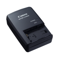 аксессуары/видео Canon CG-800E зарядное устройство