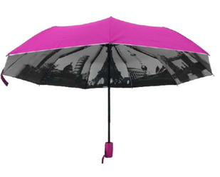Автоматична жіноча парасолька Grunhelm UAOС-0923URMX-26GW