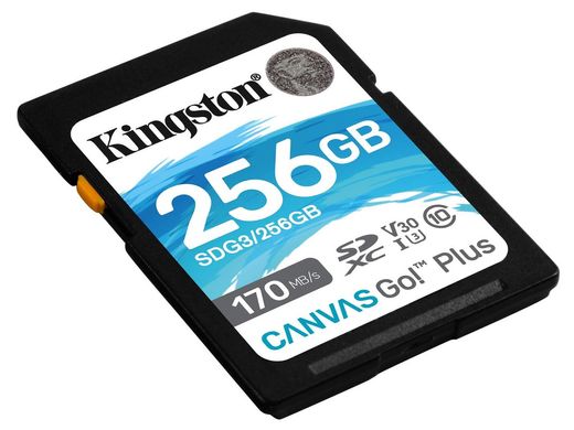 Карта памяти Kingston SDXC 256GB Go+ U3 V30(R170/W90)