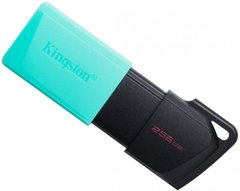 Флеш-накопитель Kingston DT Exodia M 256GB USB 3.2 Teal
