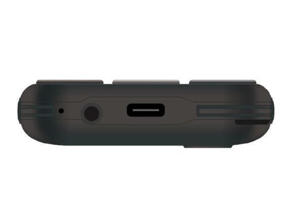 Мобильный телефон ERGO R202 Dual Sim (черный)