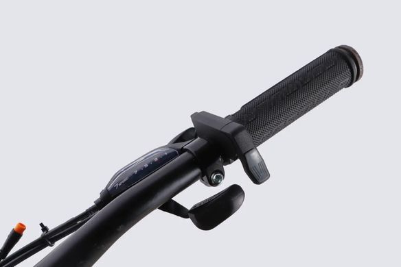 Велосипед з електроприводом 29" AL Formula eMOTION PLUS DD FR рама-19" 36B 12.5А*г 500Вт зелено-сірий 2026