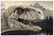 Пазл міні Dodo Jurassic Park, 35 шт (200391) фото 3