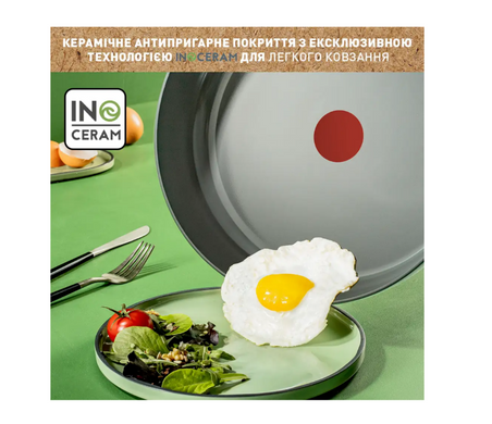 Сковорода TEFAL Renewal 28 см Grey (C4260643)