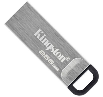 Флеш-пам'ять USB Kingston DT Kyson 256GB USB 3.2 (DTKN/256GB)