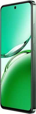 Смартфон OPPO Reno12 FS 12/512GB Black Green
