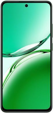 Смартфон OPPO Reno12 FS 12/512GB Black Green